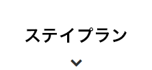 ステイプラン